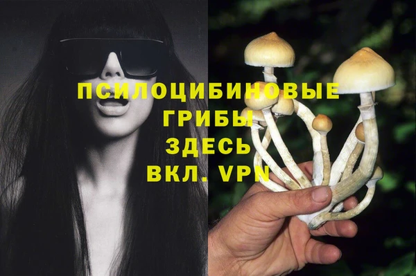 ECSTASY Нея