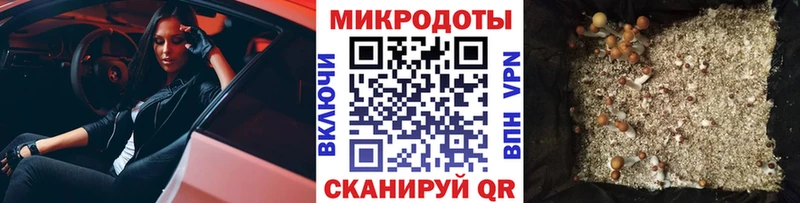 дарк нет официальный сайт  Новоузенск  Галлюциногенные грибы Cubensis 